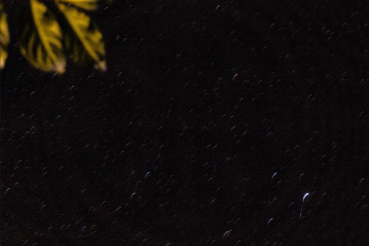 Фото сделано автором статьи (by iLushkersky)