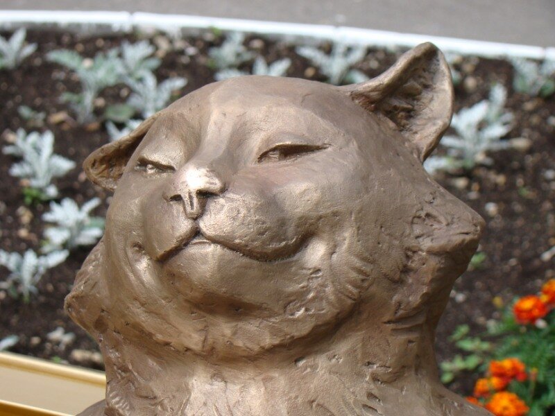 Кот и статуя