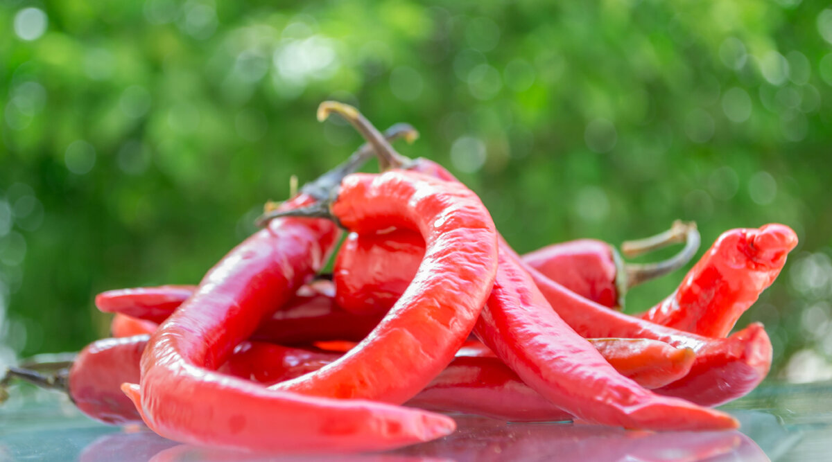 Фото с сайта https://commons.wikimedia.org