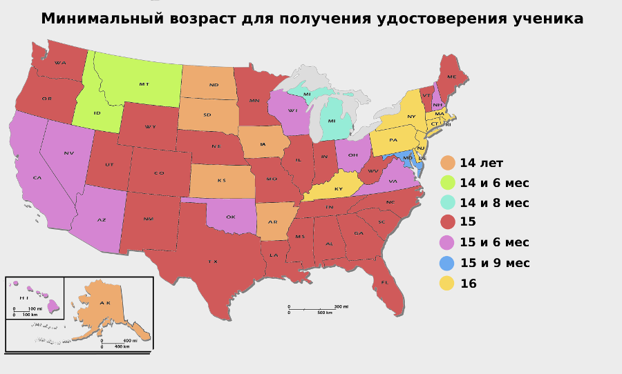 Сколько лет правят в сша. Водительское удостоверение США по Штатам. Возрастные требования для получения водительских прав по Штатам США. Возраст получения водительских прав в США. Возраст получения водительских прав в США карта.