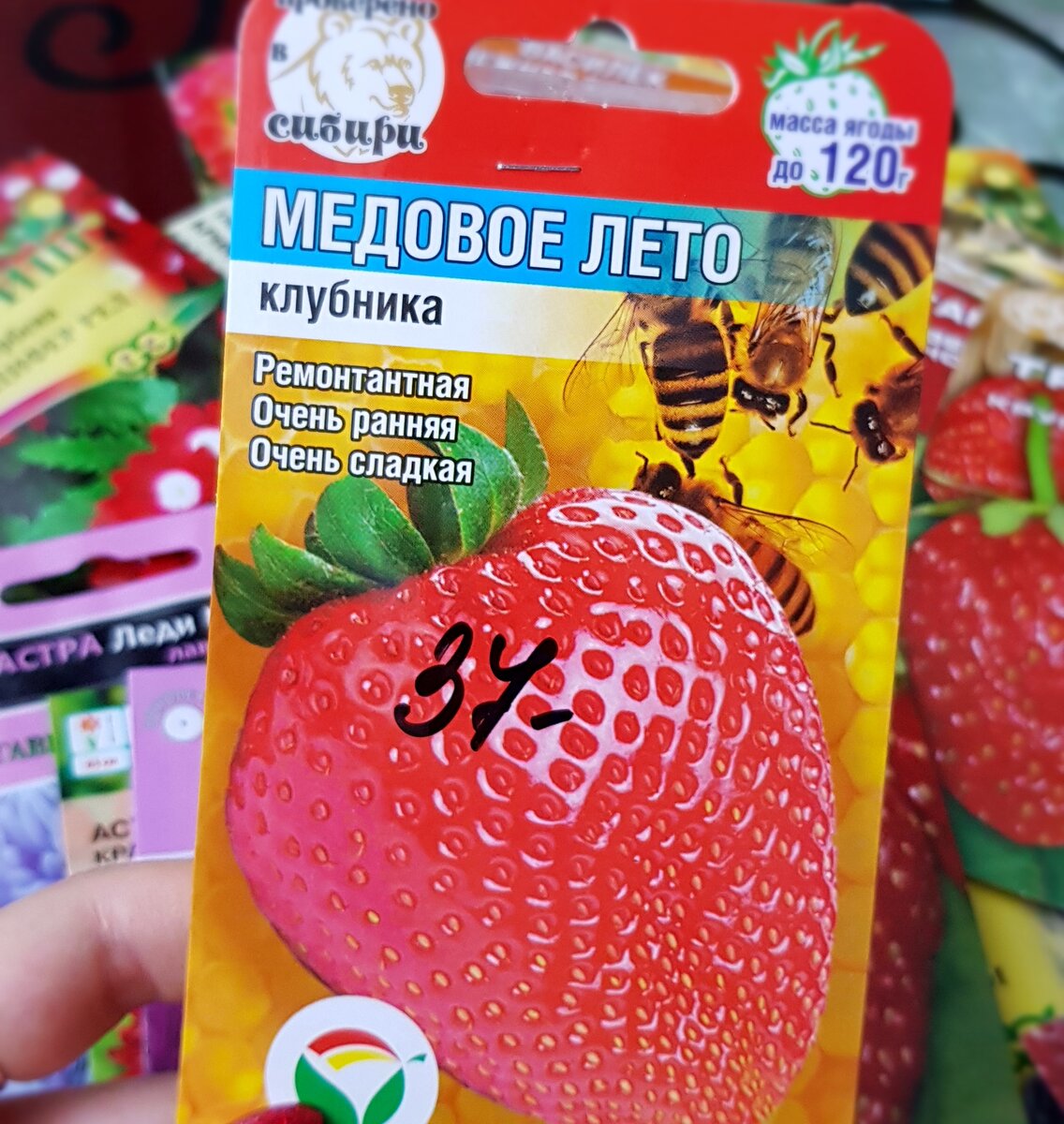 Клубника медовое лето описание сорта фото отзывы