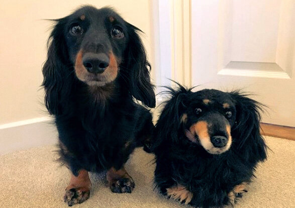 ФОТО: Instagram/chutney_muttney