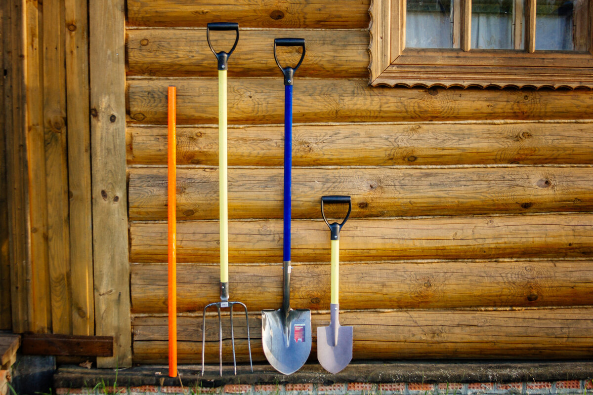 Фото из интернета