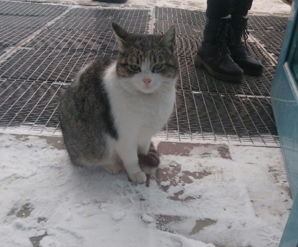 Где эмоции?