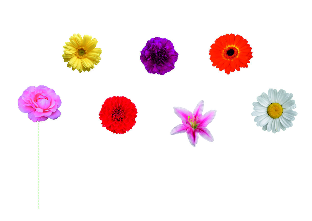 Веселые цветы картинки для детей (43 фото)