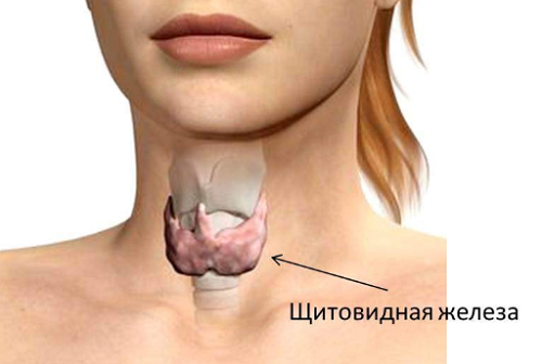 фото: http://ziv.ru