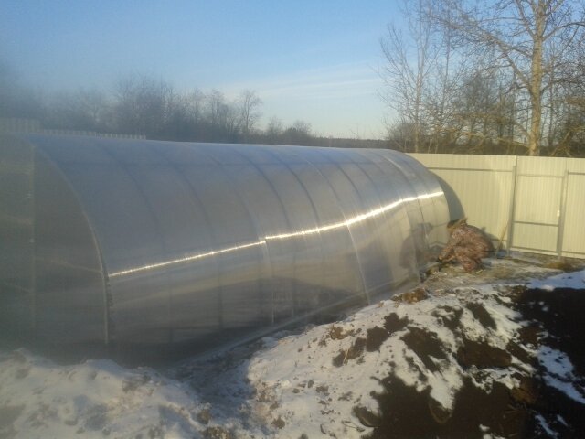 Автор Елена