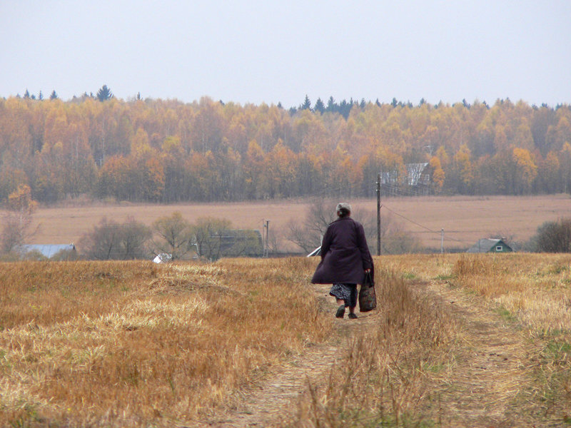 Приезжая в город. Уезжает из деревни. Уехать в деревню. Люди уезжают с деревень. Уходящая деревня.