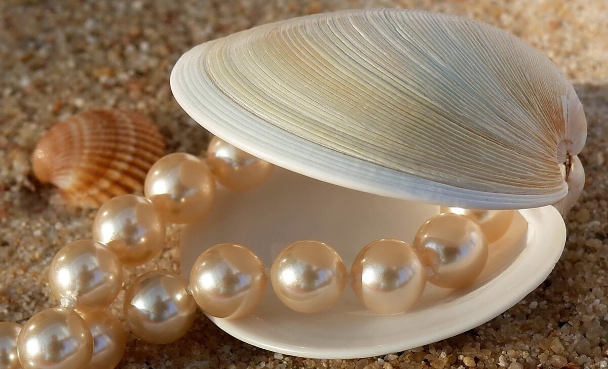 Источник: Яндекс картинки 