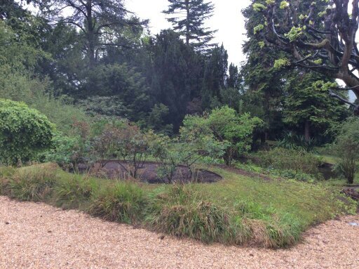 Сад Клода Моне в Живерни известен прежде всего, как "сад ирисов", хотя там растет множество других цветов и растений