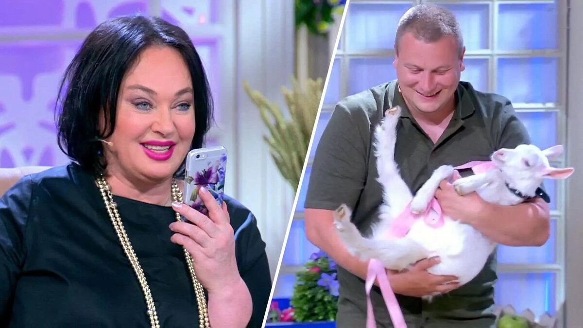 изображение из сети интернет и в свободном доступе