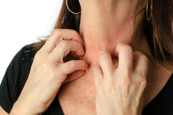 Источник: https://www.google.ru/imgres