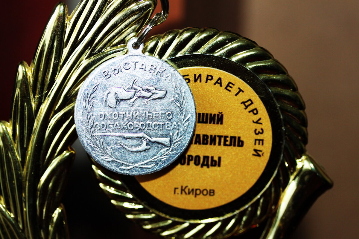 медаль по лисе..