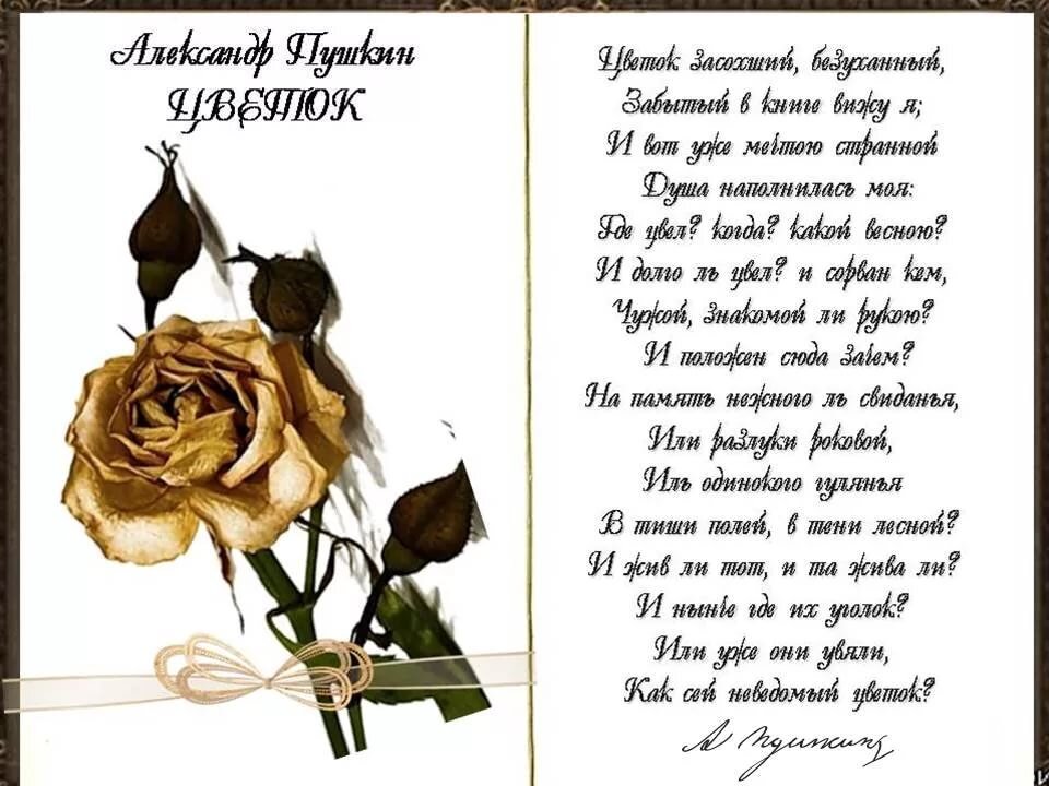 Цветок засохший безуханный забытый. Стихотворение пушкина цветок засохший. пушкин цветок засохший безуханный. стихотворение пушкина цветок засохший безуханный. стихотворение пушкина цветок.
