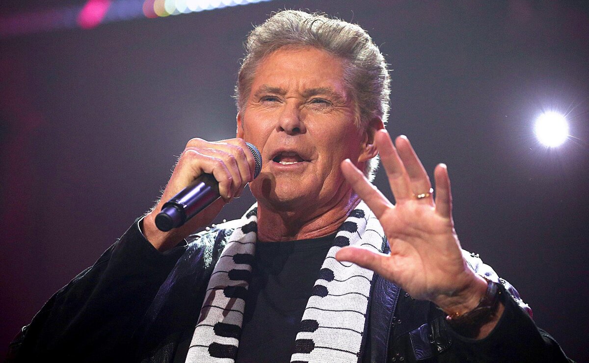 David Hasselhoff  записал 14 альбомов. 