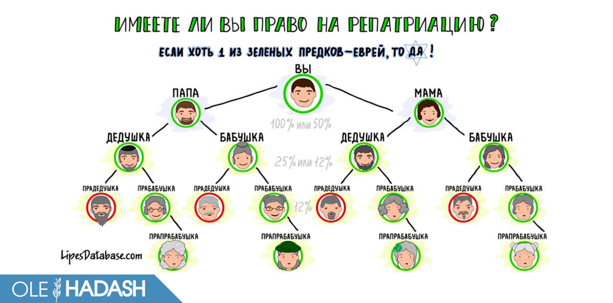 Консульская проверка