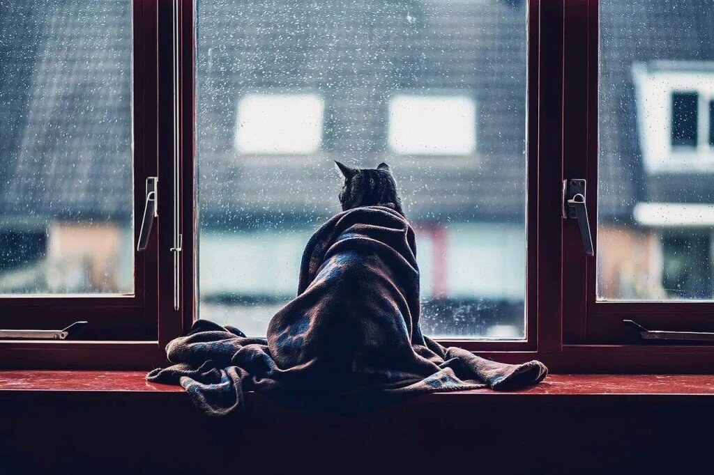 Фото https://yandex.ru/images/
