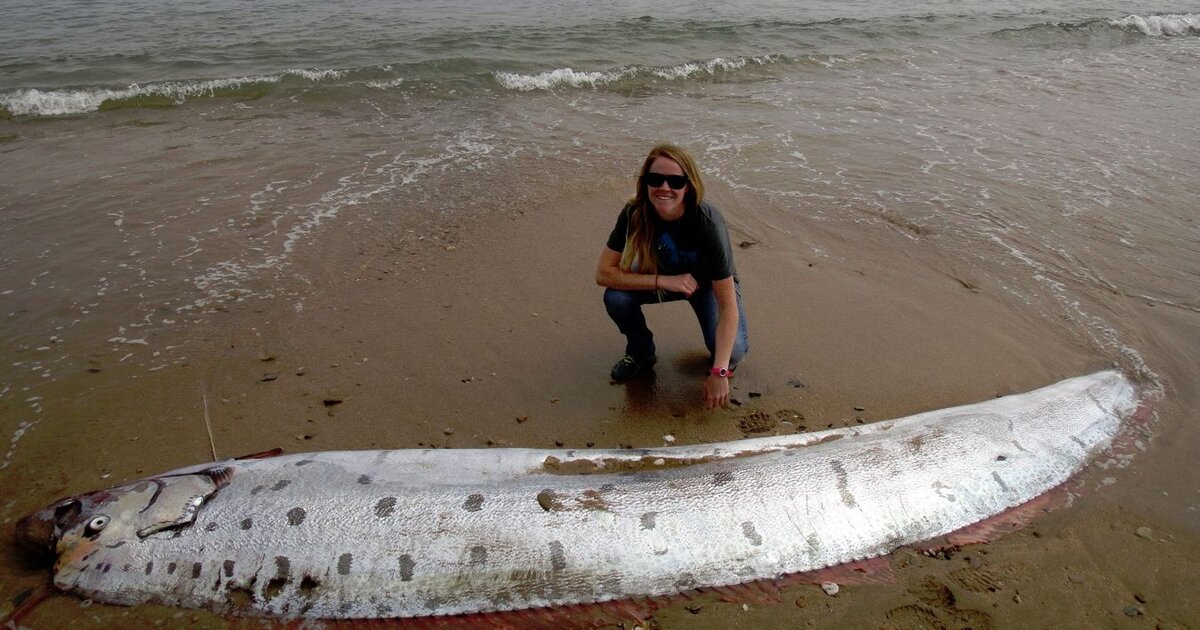 Фото с сайта https://newsroom.su