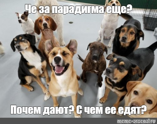 Я тоже мало понимаю, что такое парадигма. И слово мне это не нравится :)