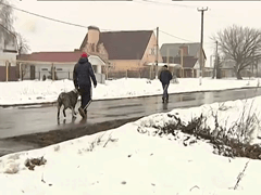 Если собака зациклилась, то сразу пресекаем это