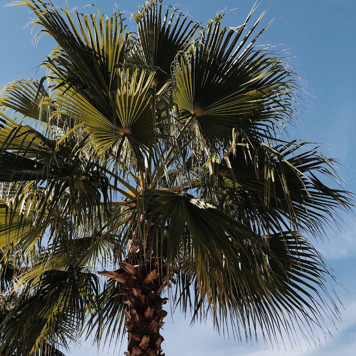 Адлер, октябрь 2018