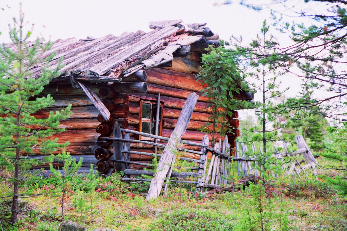 С родной земли умри — не сходи | Уральский следопыт 🌲uralstalker | Дзен