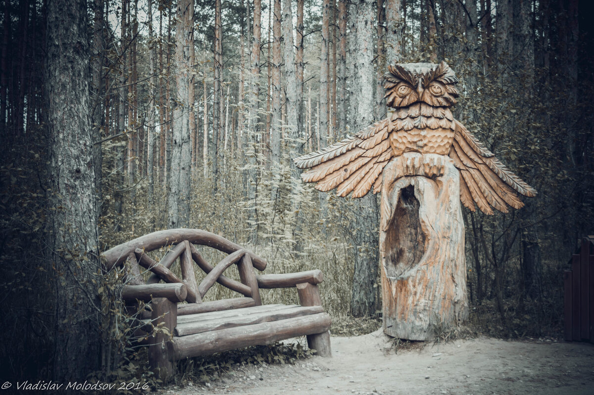 Фото: Vladislav Molodsov