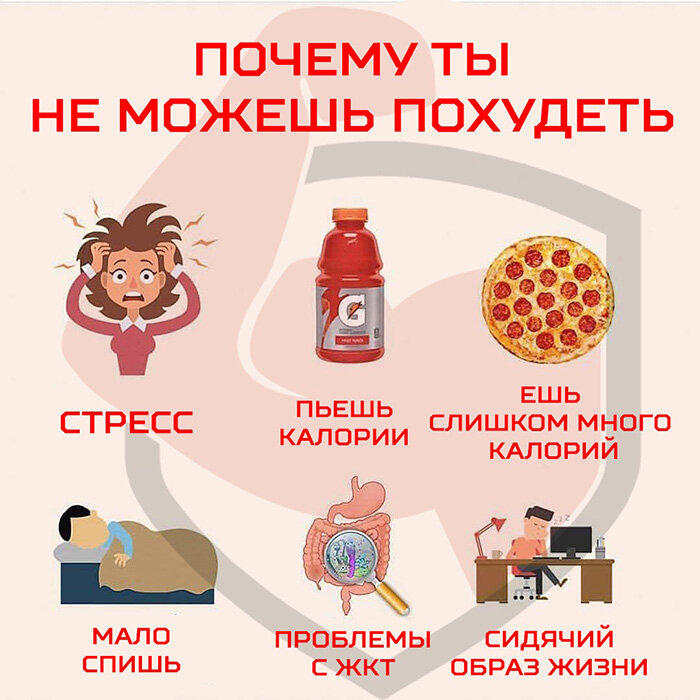 Полезные продукты