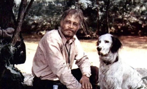 кадр из фильма "Белый Бим Черное Ухо"