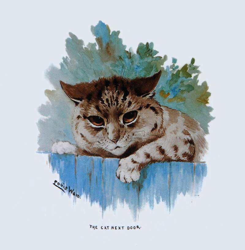 Луис Уэйн «Соседский кот»