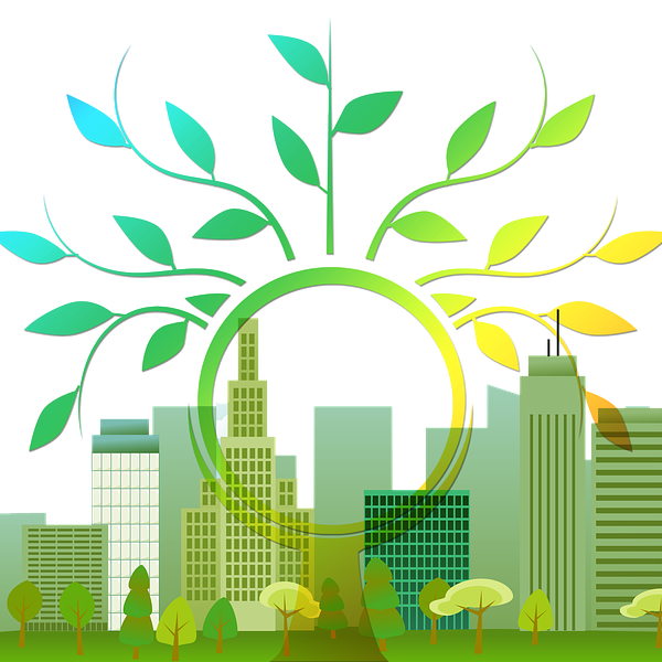 https://cdn.pixabay.com/photo/2015/10/16/10/04/tree-990845_960_720.png 