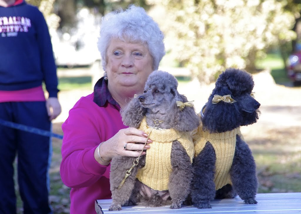 Яндекс картинки