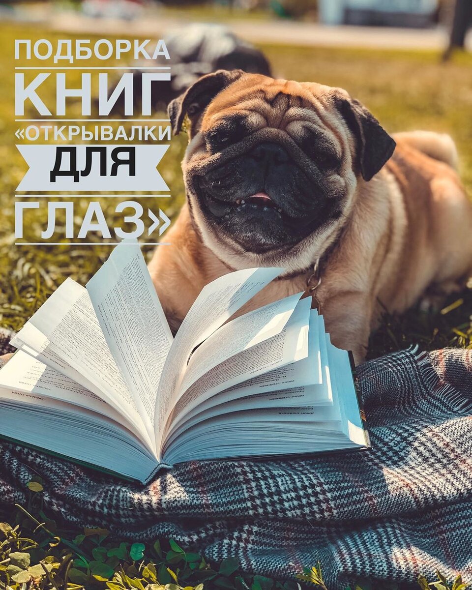 Фото из Инстаграма @madina_bookaholic