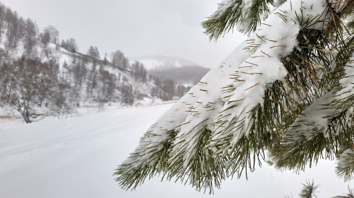 фото Hello Dervnia