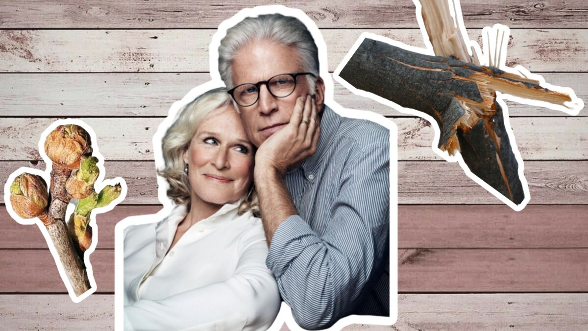 При остеопорозе кости становятся хрупкими. Отсюда - переломы