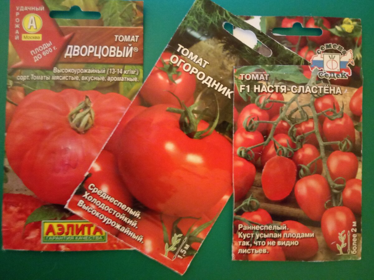 Томат дворцовый отзывы