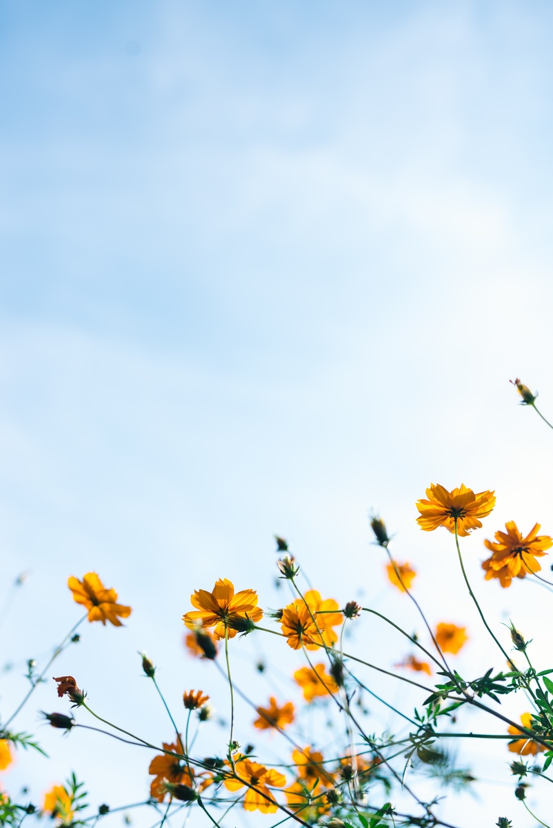 Photo by Masaaki Komori on Unsplash