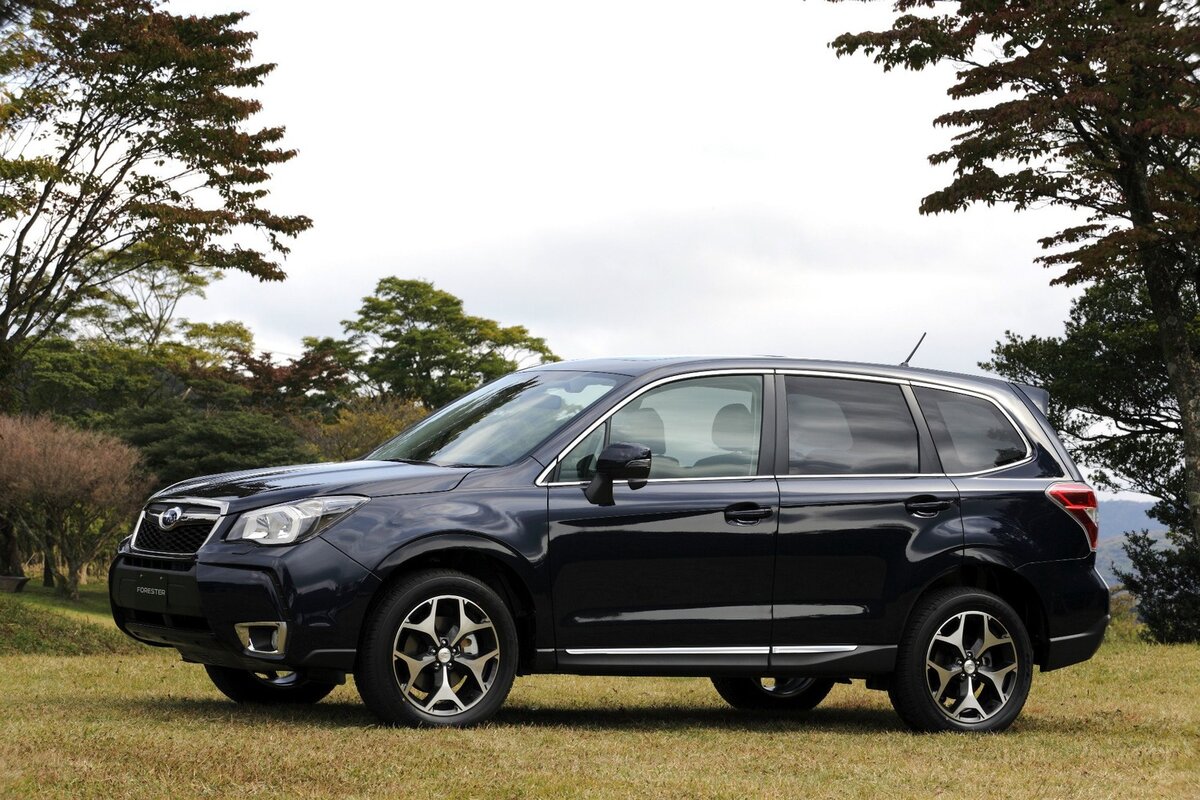 Forester 6