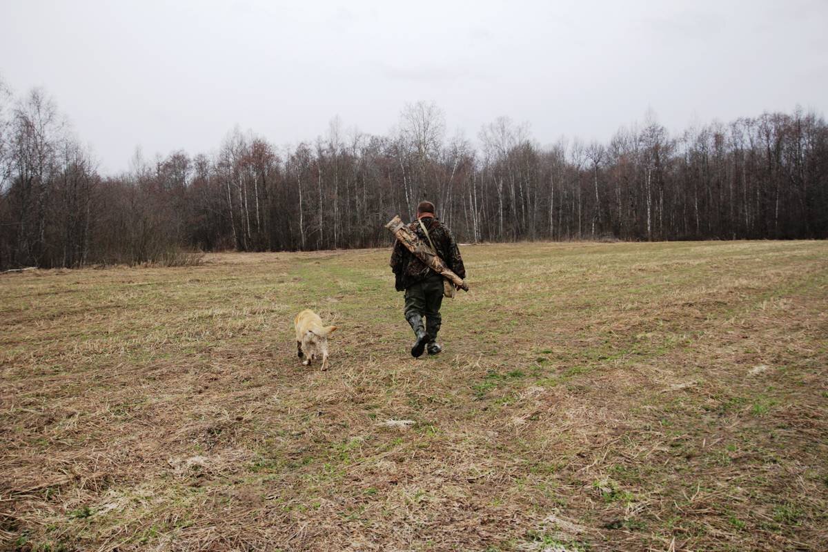АВТОР СТАТЬИ: ДМИТРИЙ КАРМАНОВ