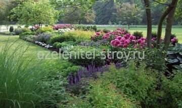 Современные цветники