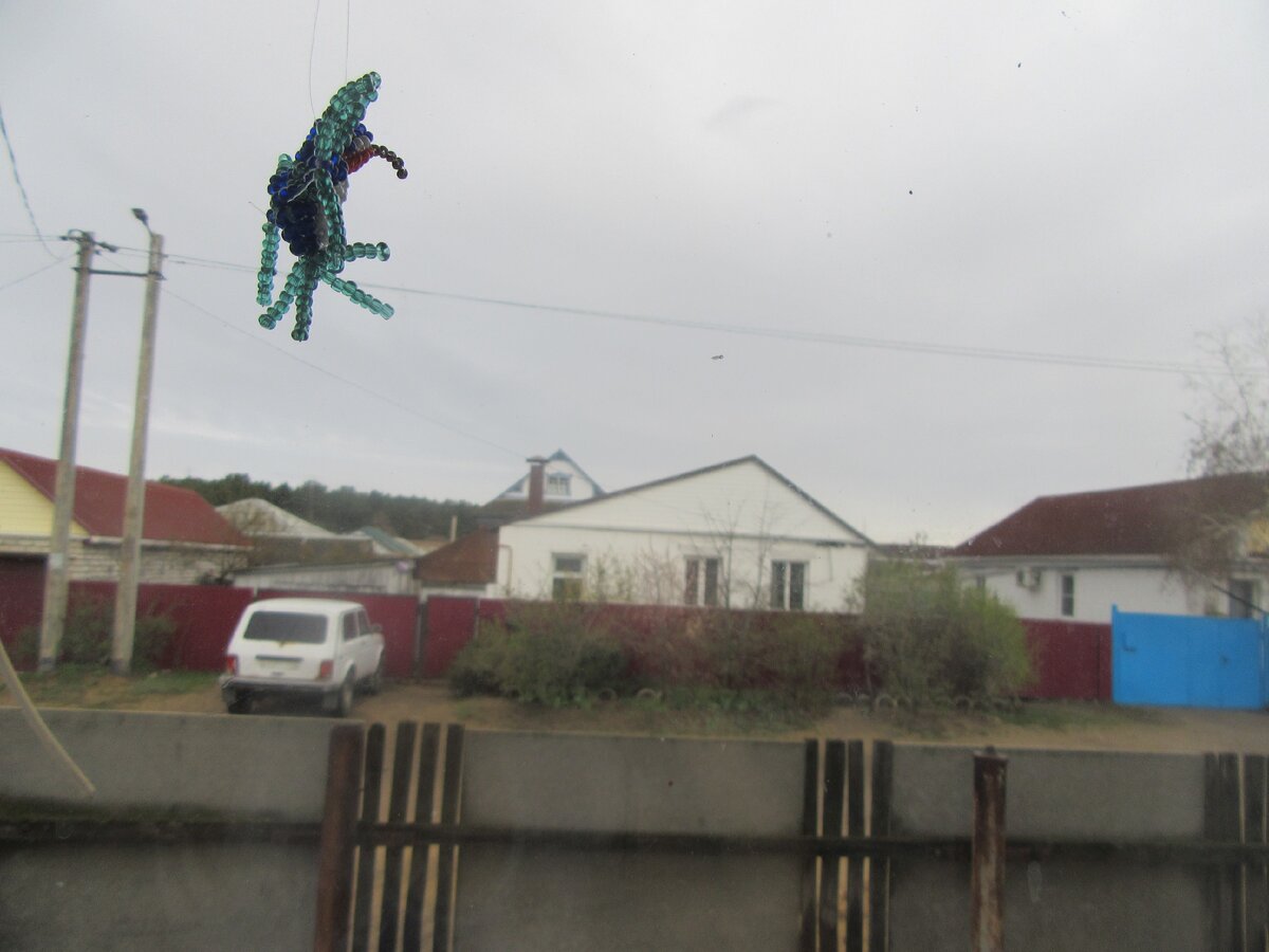 Колибри захватит мир