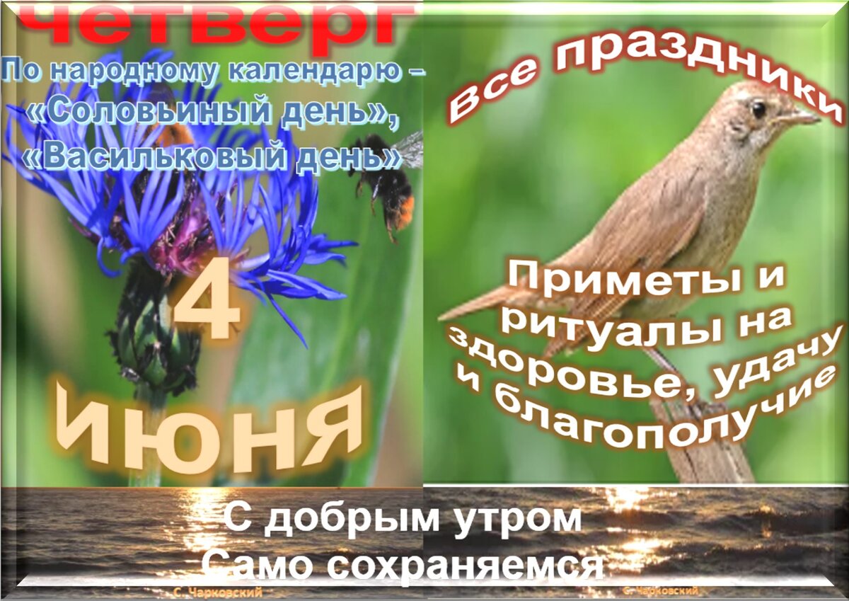васильковый день. открытки с летом. завтра 4 июня. завтра 4 июня. лист календаря 2 сентября.