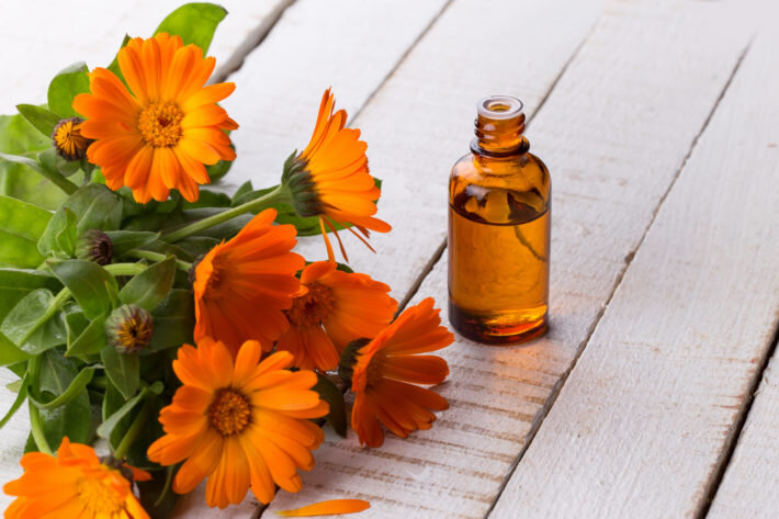 Масло календулы обладает полезными свойствами
