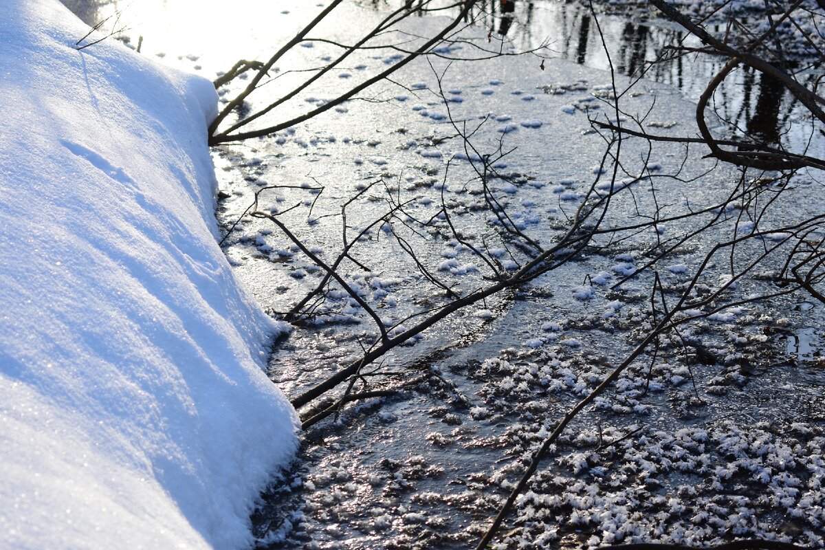 Красивая русская природа и замороженный ручей