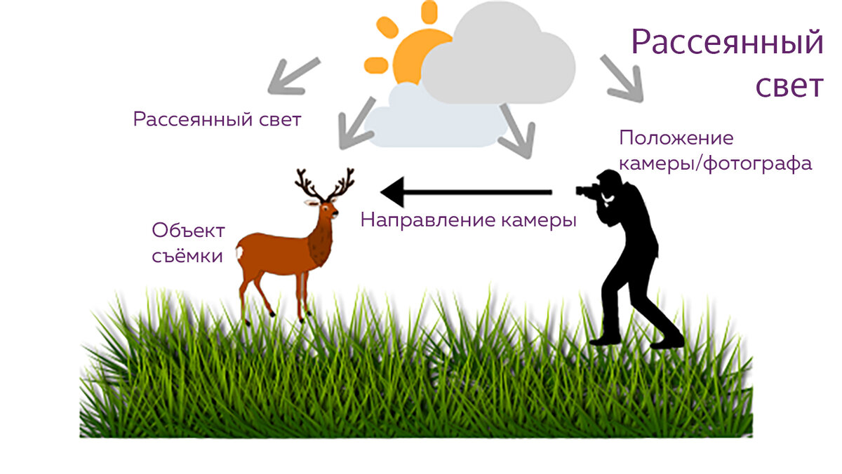 солнце источник света. свет отражается от предметов. солнечный свет со связью управления. важность солнечного света. примыкание синонимичным словосочетанием со связью управление.