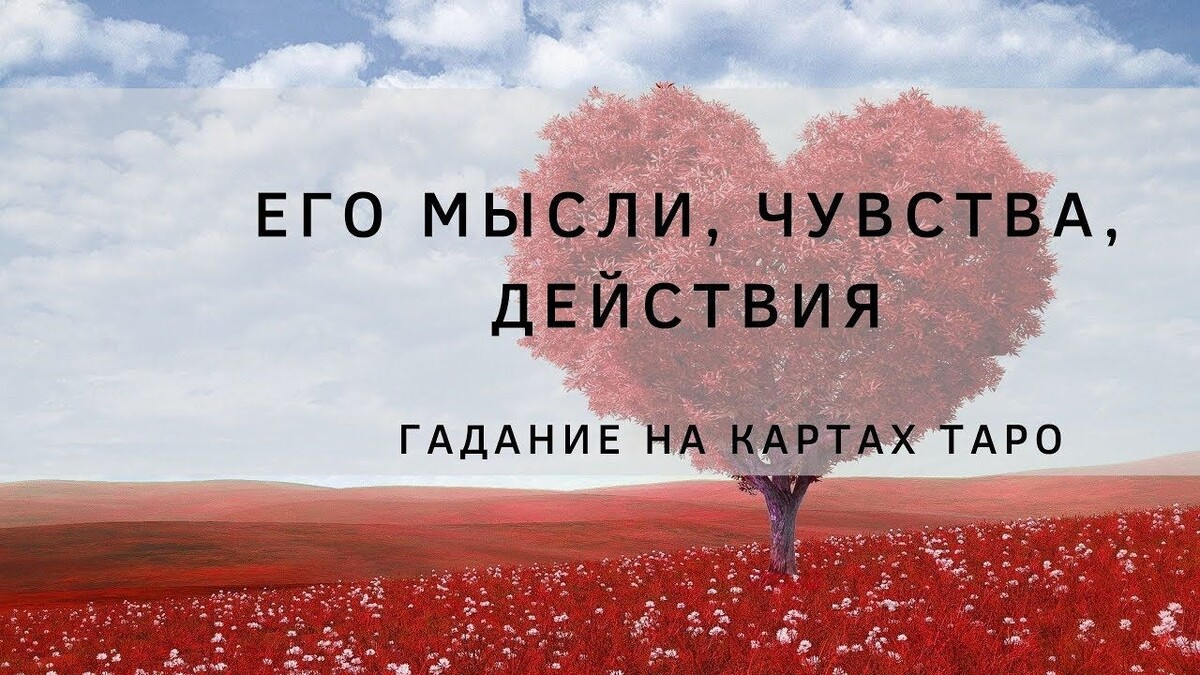 Доброго времени суток дорогие подписчики и гости моего канала!☀️
Это общий расклад на картах Таро и Ленорман.
Похоже что был разрыв/уход , или же отношения на паузе сейчас.