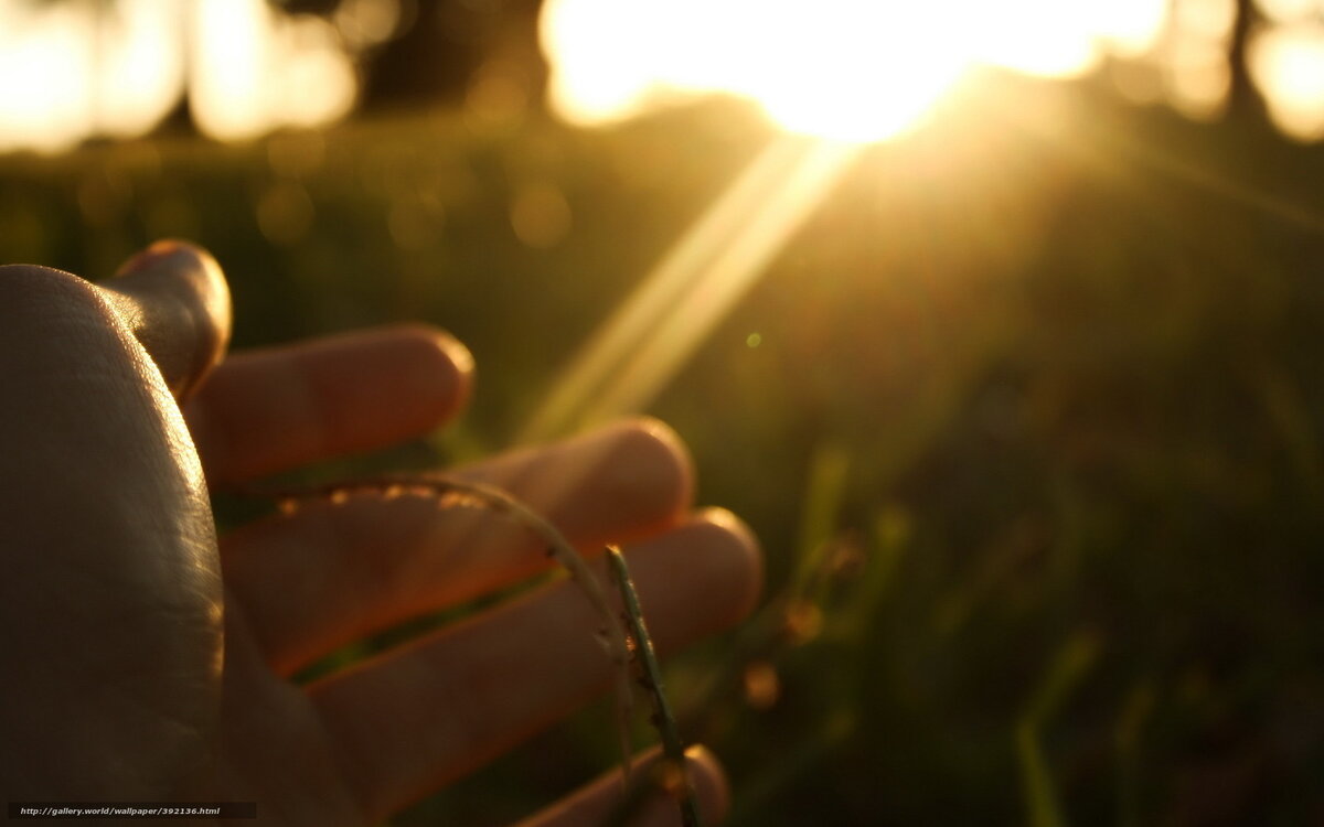 картинка из инета