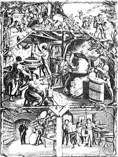 Процесс производства сыра. Старинная гравюра