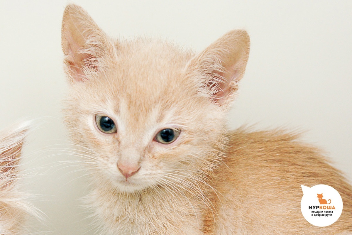 Надо бы здесь всё облазать и обнюхать