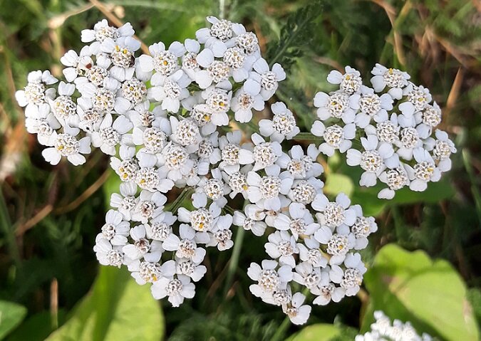 Рига, 19 июля 2021